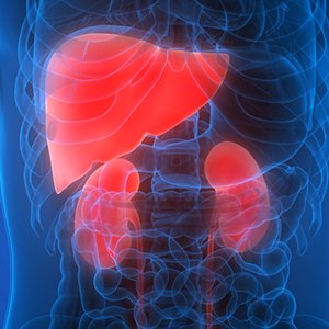 Hepatorenal Disease treatment in Vijayawada